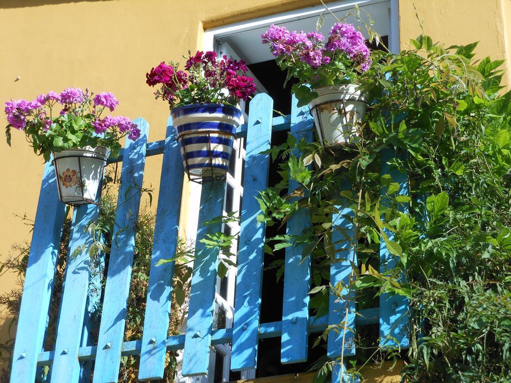 Quinta Tamengas Casa de Férias